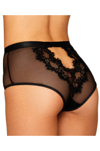 Black Eyelash Lace Sheer Panty
