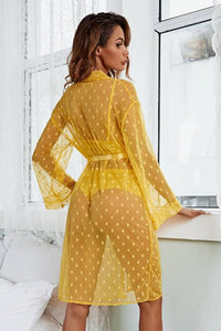 Black French Dot Mesh Robe and Bra Set