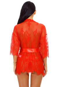 Black Eyelash Lace and Mesh Robe