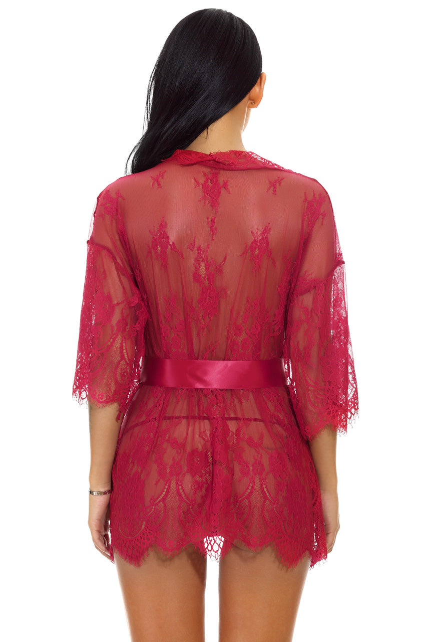 Black Eyelash Lace and Mesh Robe